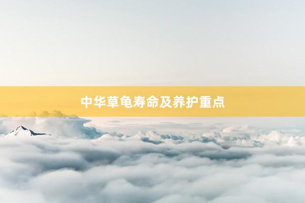 中华草龟寿命及养护重点