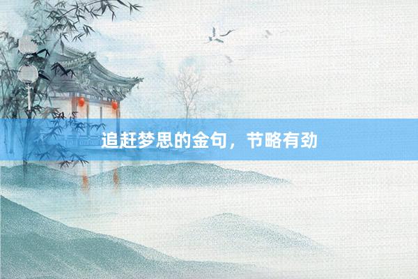 追赶梦思的金句，节略有劲